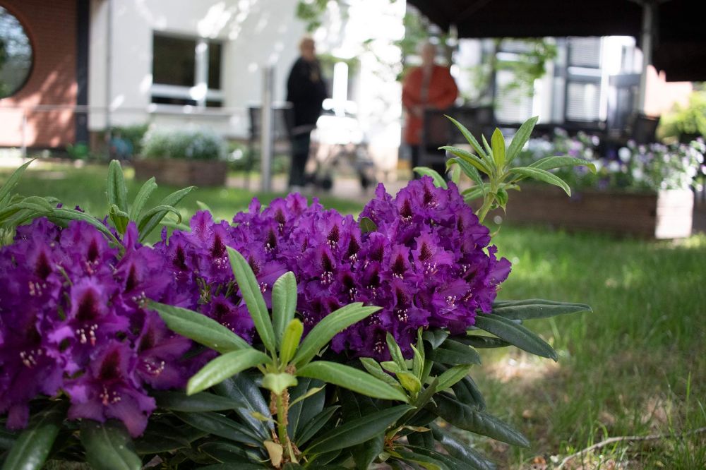 Bild vom GArten im Jüdischen Seniorenheim